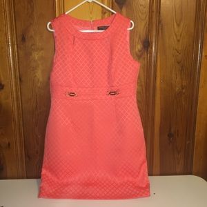Tahari Levine Dress Size 14P